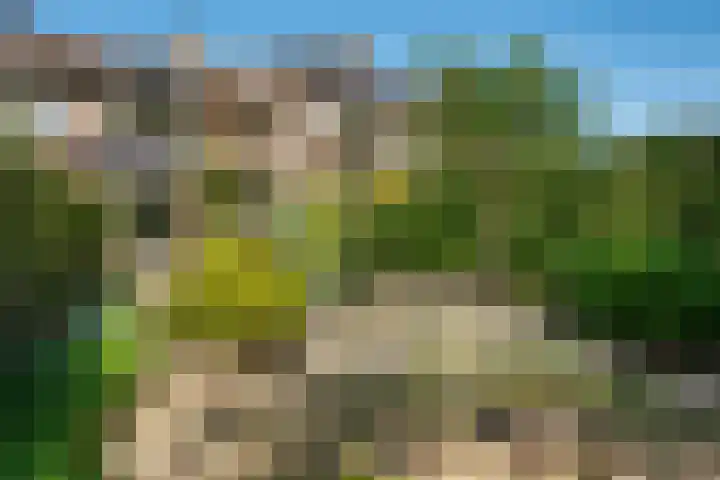 Graanhoeve 48 Houten thumbnail 42