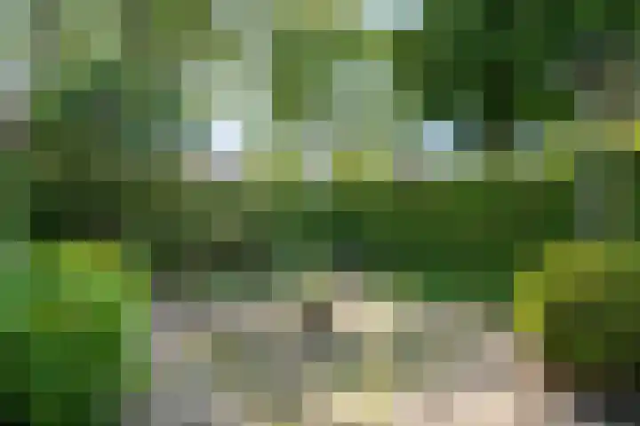 Graanhoeve 48 Houten thumbnail 43