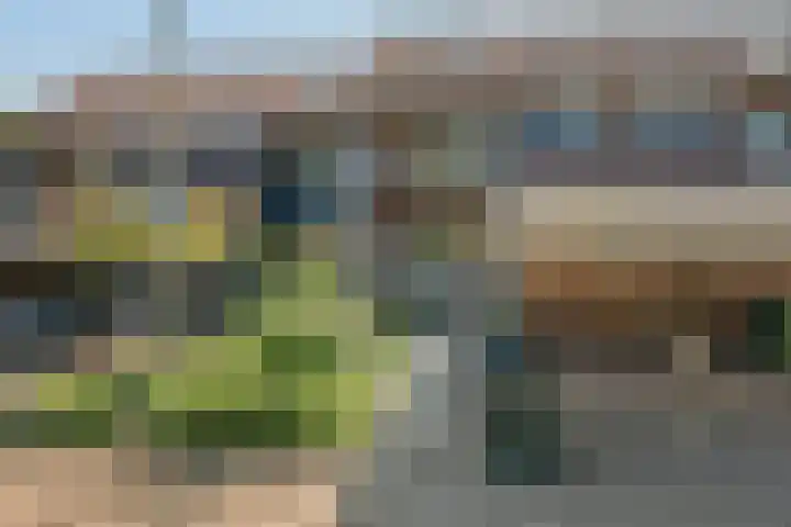 Graanhoeve 48 Houten thumbnail 45