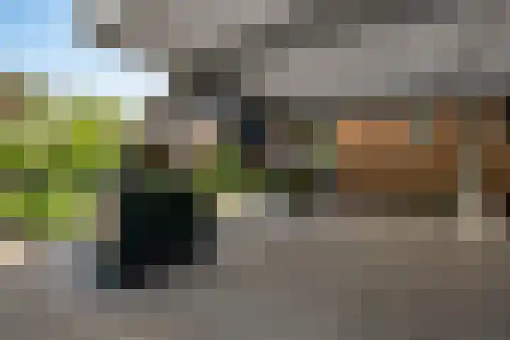 Graanhoeve 48 Houten thumbnail 46