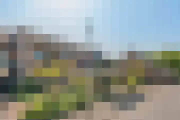 Graanhoeve 48 Houten thumbnail 49