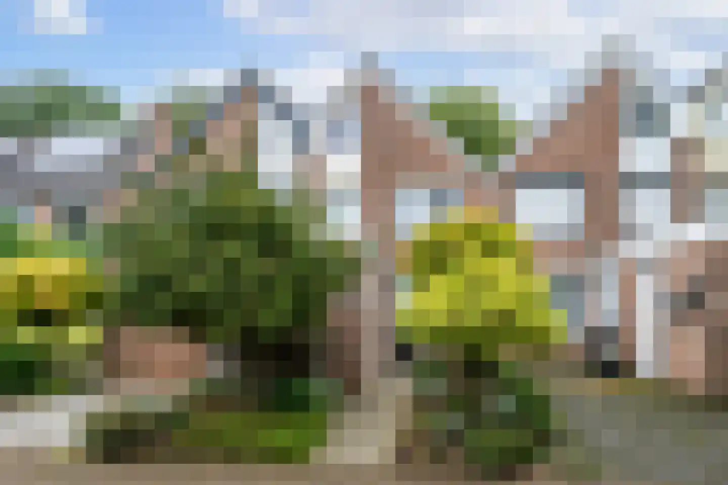 Graanhof 12 in Heerlen