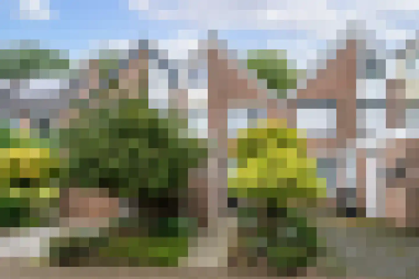 Graanhof 12 Heerlen foto 2