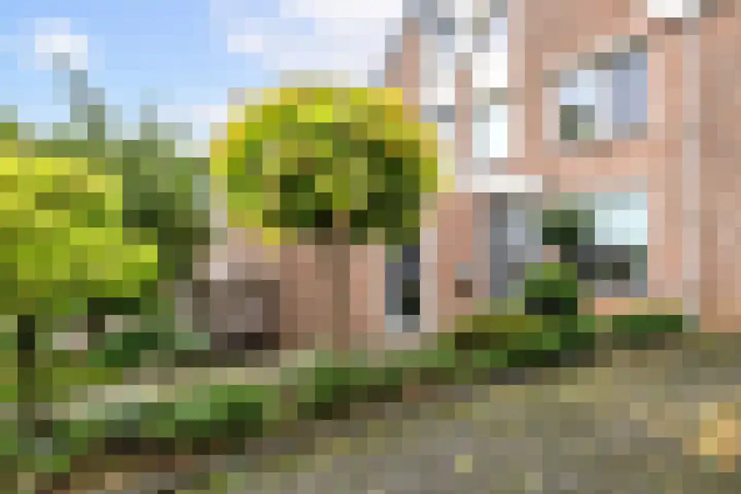 Graanhof 12 Heerlen thumbnail 25