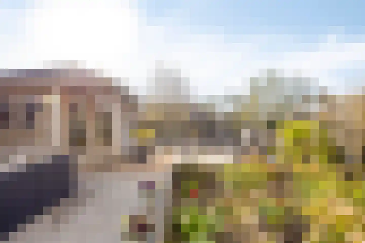 Graanhuis 2 Beinsdorp thumbnail 13