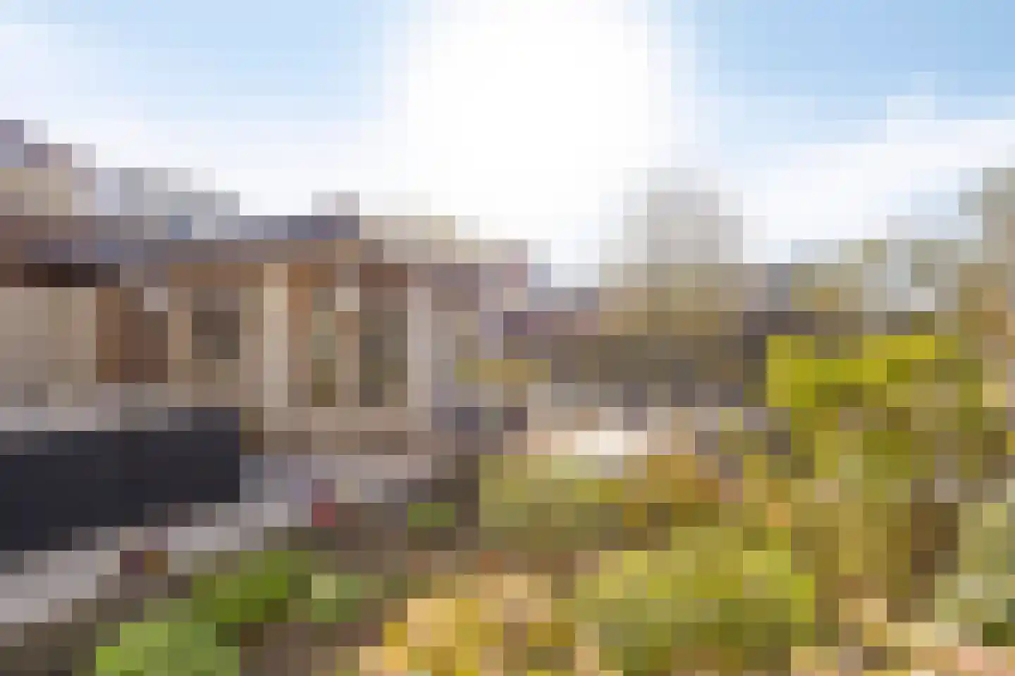 Graanhuis 2 Beinsdorp thumbnail 14