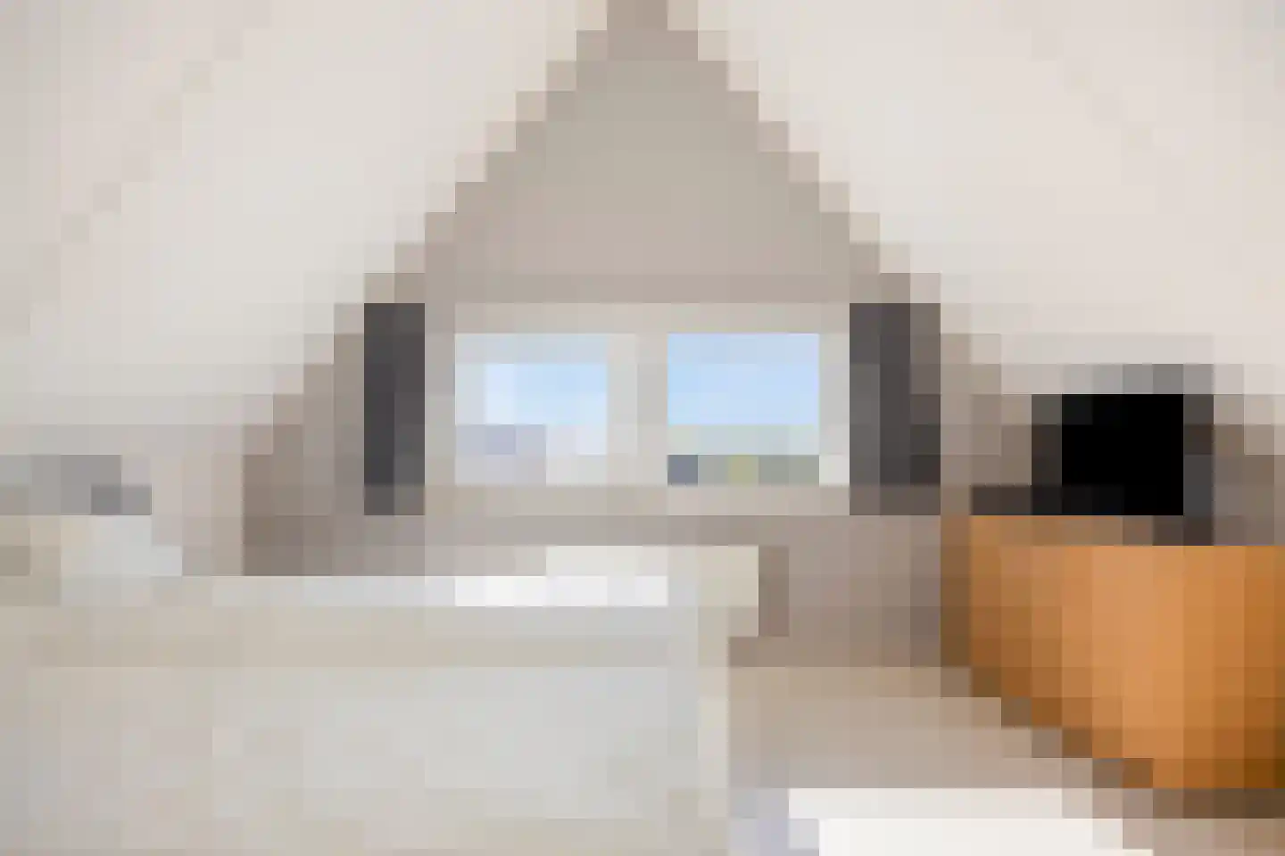 Graanhuis 2 Beinsdorp thumbnail 34