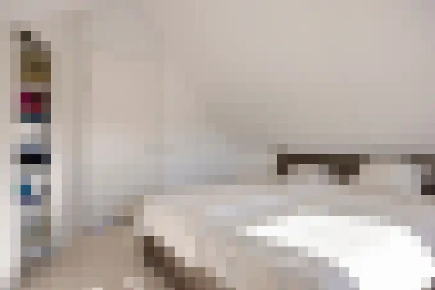Graanhuis 2 Beinsdorp thumbnail 35