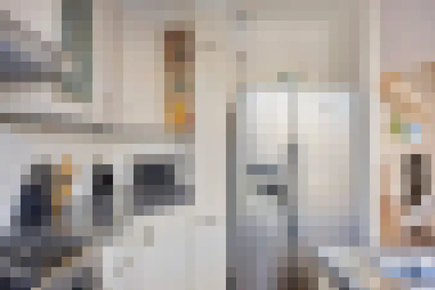 Graanhuis 2 Beinsdorp thumbnail 7