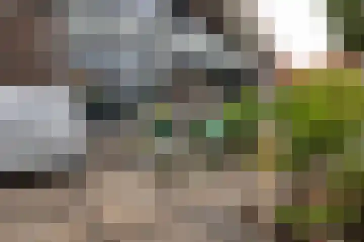 Graanhuis 27 Beinsdorp thumbnail 10
