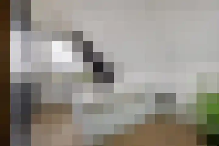 Graanhuis 27 Beinsdorp thumbnail 14