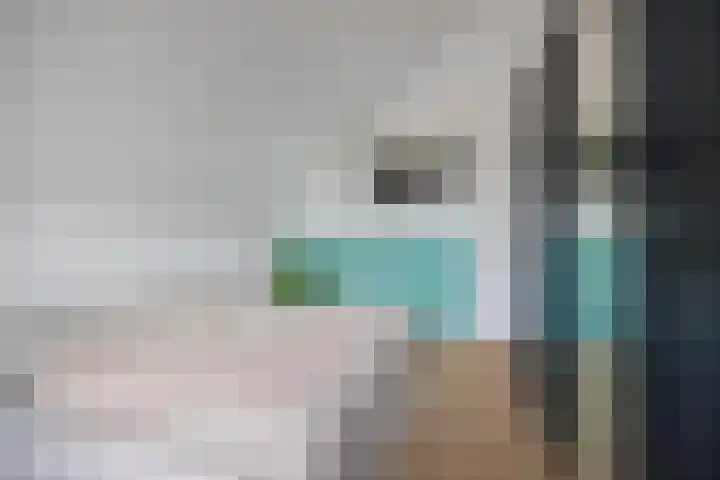 Graanhuis 27 Beinsdorp thumbnail 15