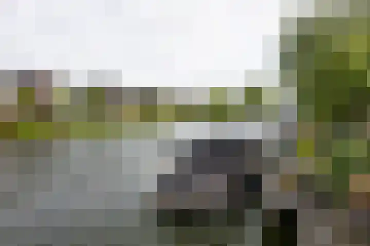 Graanhuis 27 Beinsdorp thumbnail 22