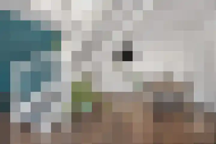 Graanhuis 27 Beinsdorp thumbnail 5