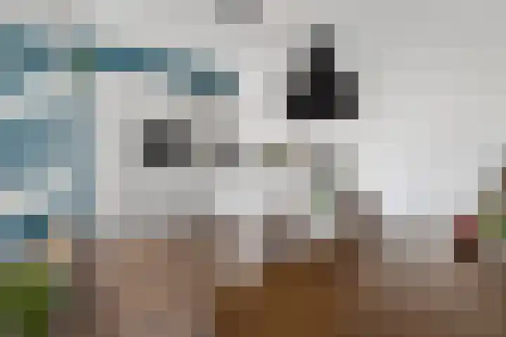 Graanhuis 27 Beinsdorp thumbnail 6