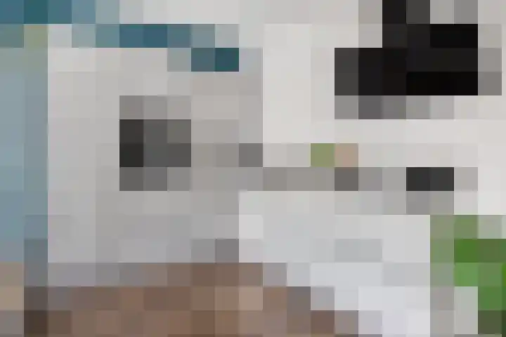 Graanhuis 27 Beinsdorp thumbnail 7