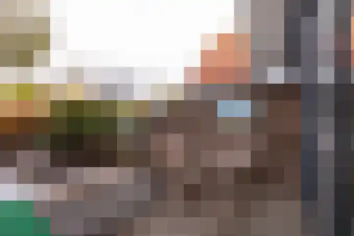 Graanhuis 29 Beinsdorp thumbnail 19