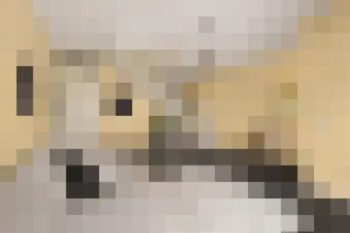 Graanhuis 29 Beinsdorp thumbnail 4