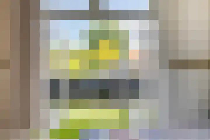 Graanhuis 5 Beinsdorp