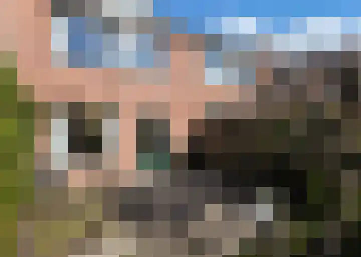 Graanmolen 4 Heerhugowaard thumbnail 22