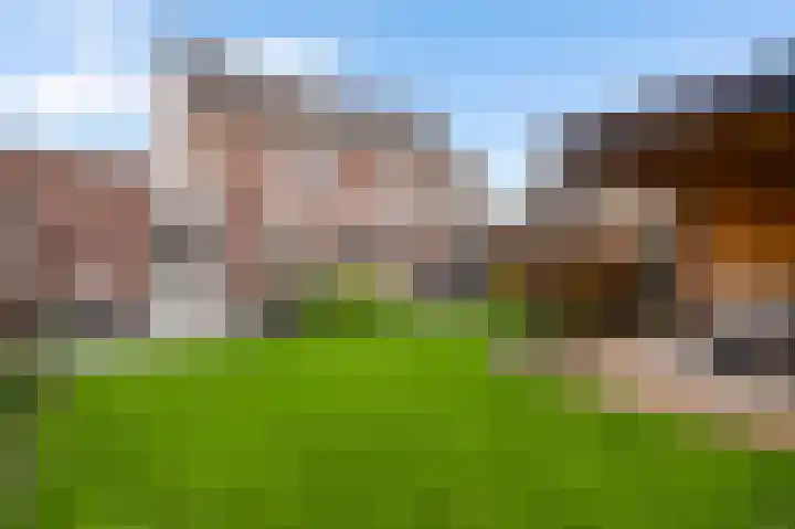 Graanmolen 5 Weert thumbnail 27