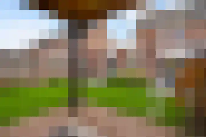 Graanmolen 5 Weert thumbnail 29