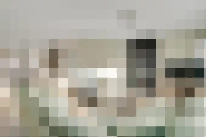 Graanmolen 5 Weert thumbnail 7