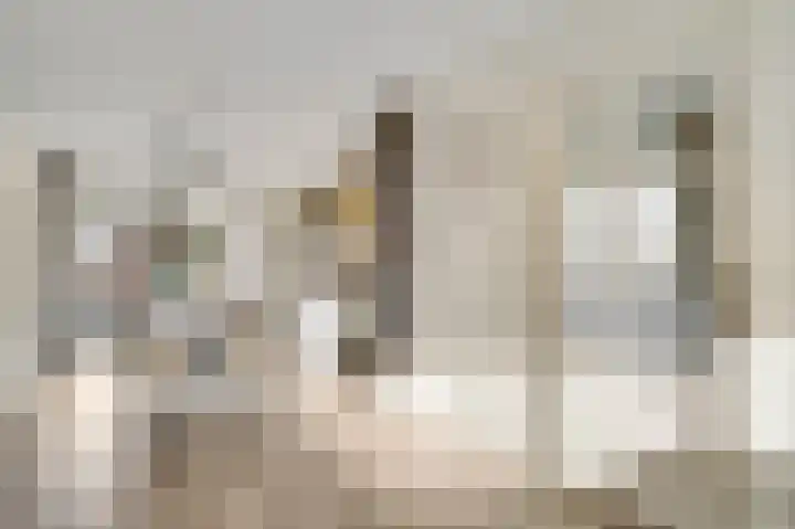 Graanmolen 5 Weert thumbnail 8