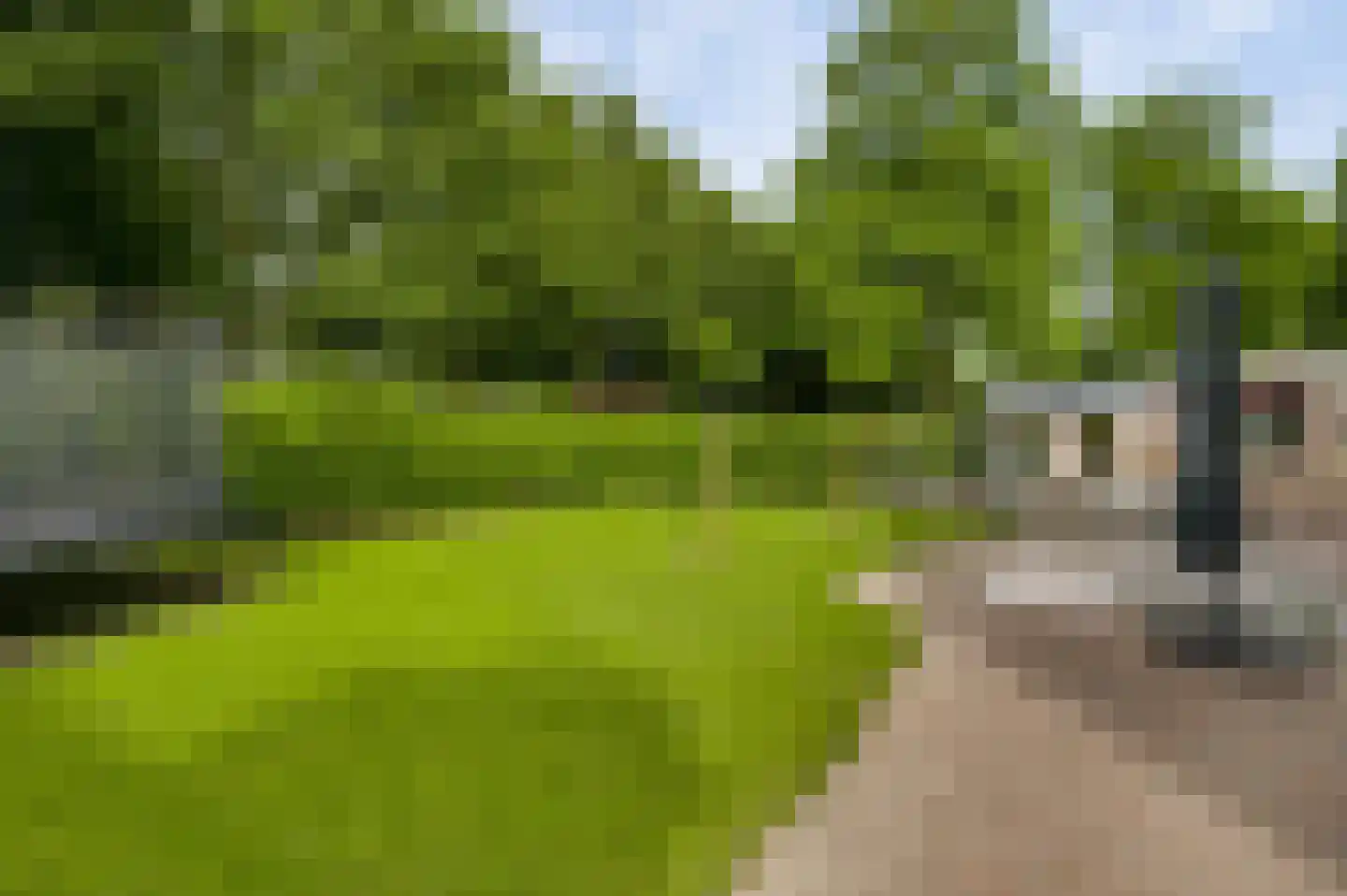 Graanmolen 56 Weert thumbnail 35