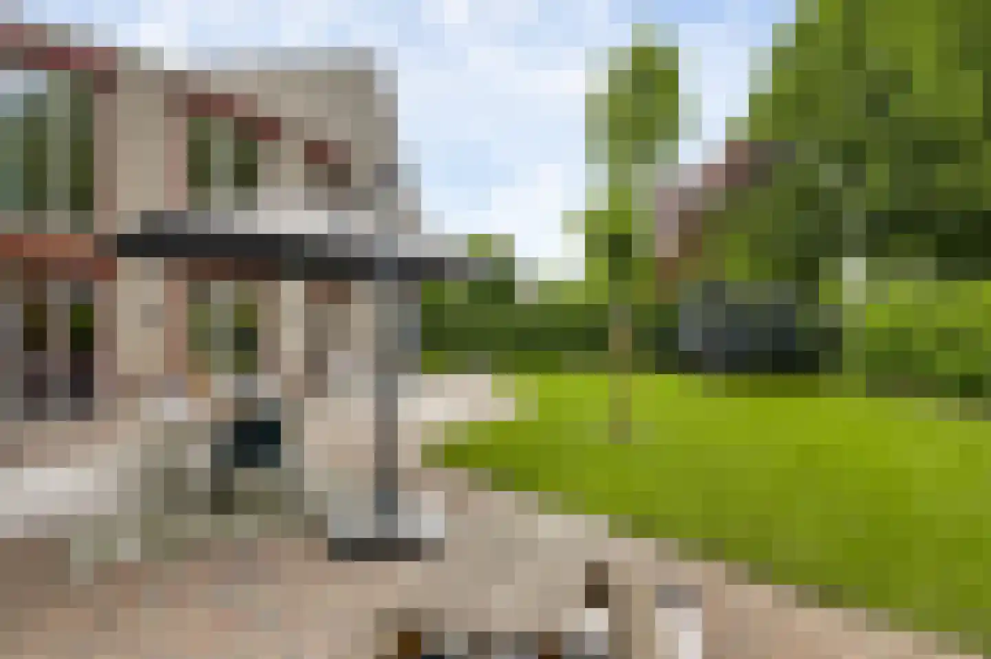 Graanmolen 56 Weert thumbnail 39