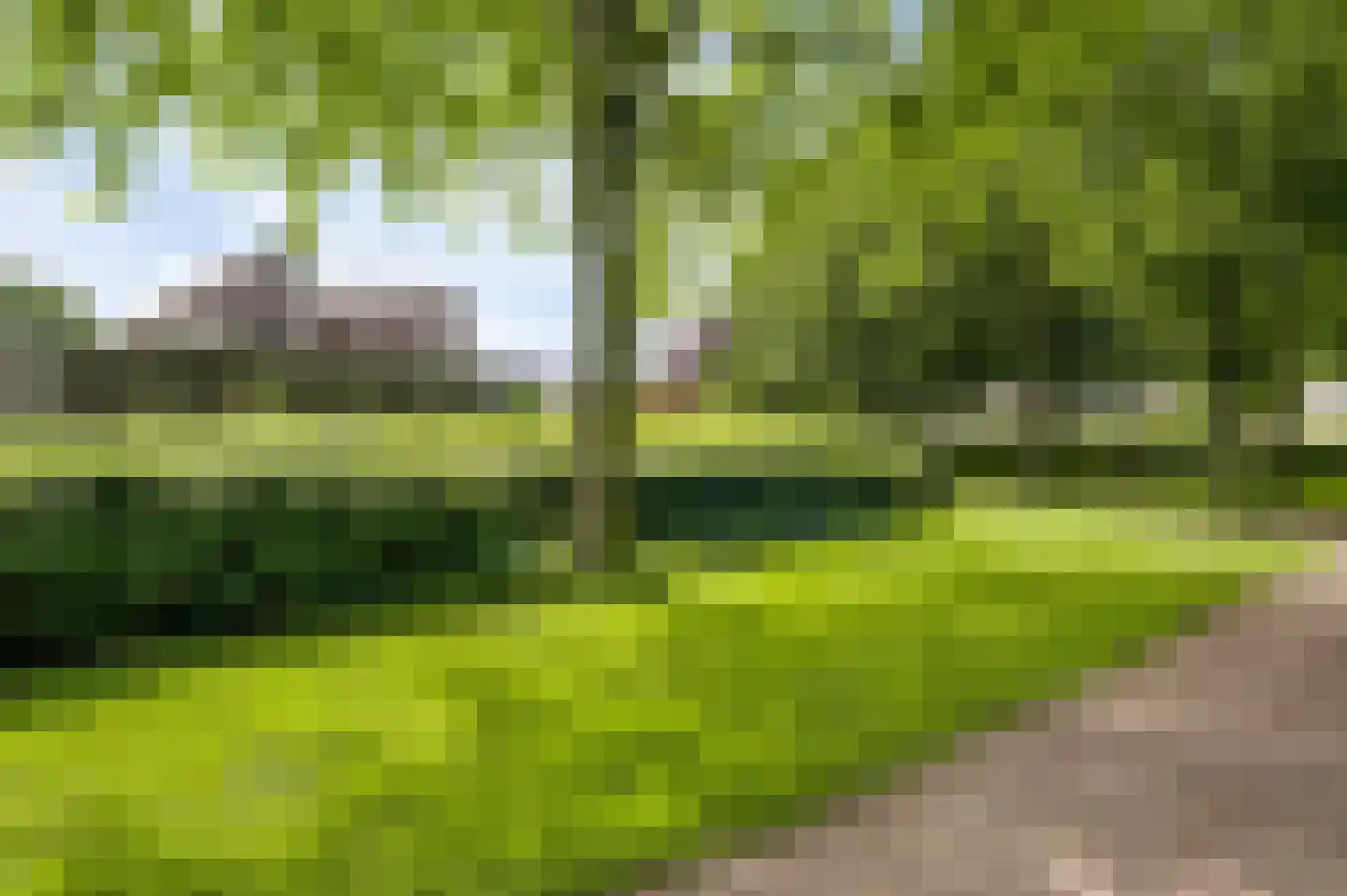 Graanmolen 56 Weert thumbnail 54