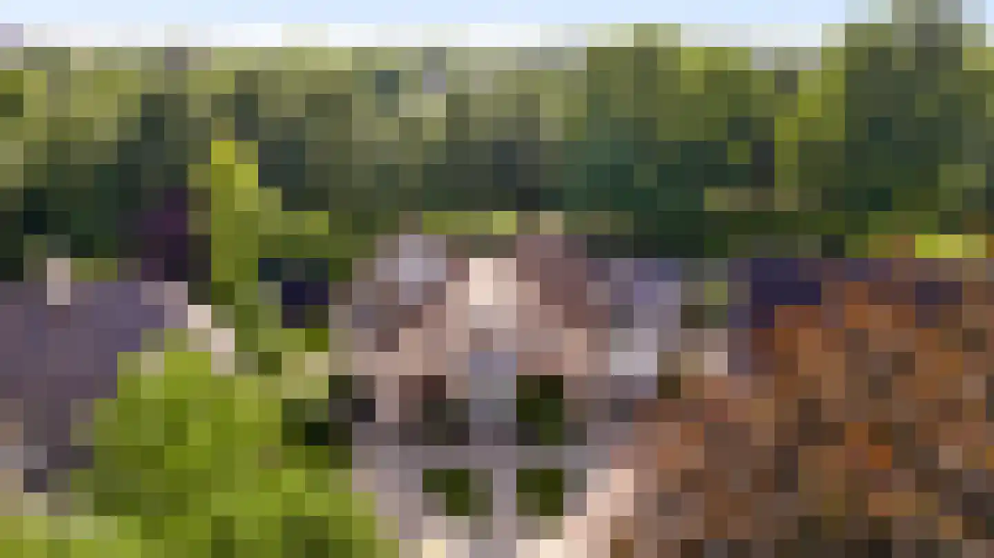 Graanmolen 56 Weert thumbnail 7