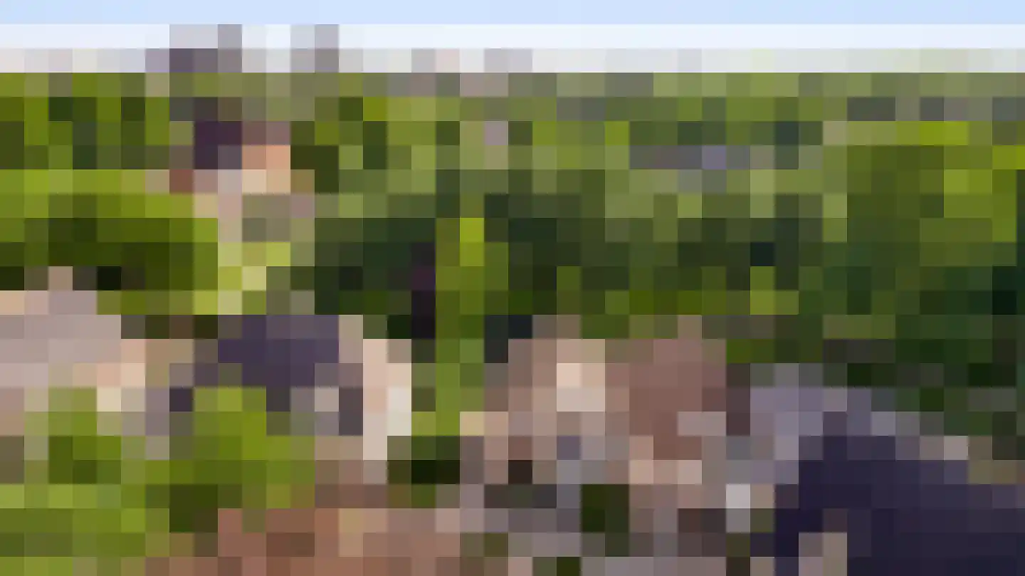 Graanmolen 56 Weert thumbnail 8