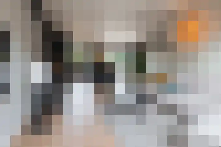 Graanoogst 3 Eemnes thumbnail 11