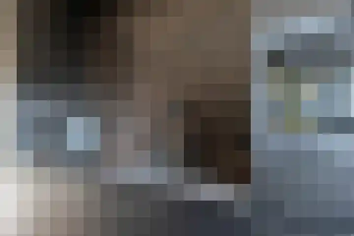 Graanoogst 3 Eemnes thumbnail 19