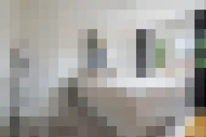 Graanoogst 3 Eemnes thumbnail 23