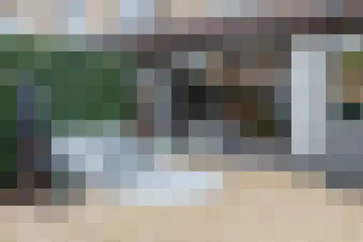 Graanoogst 3 Eemnes thumbnail 37