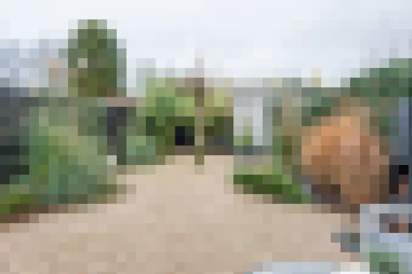 Graanoogst 3 Eemnes thumbnail 38
