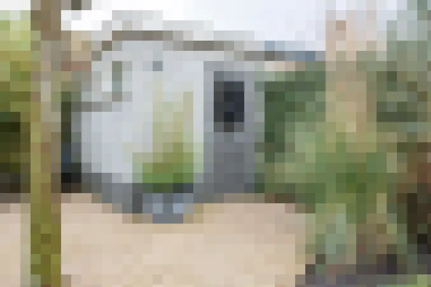 Graanoogst 3 Eemnes thumbnail 39