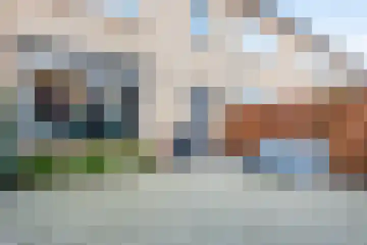 Graanoogst 3 Eemnes thumbnail 4