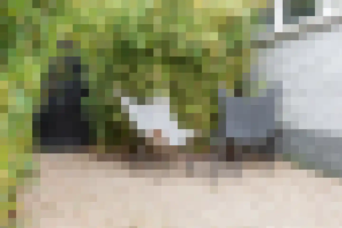 Graanoogst 3 Eemnes thumbnail 40