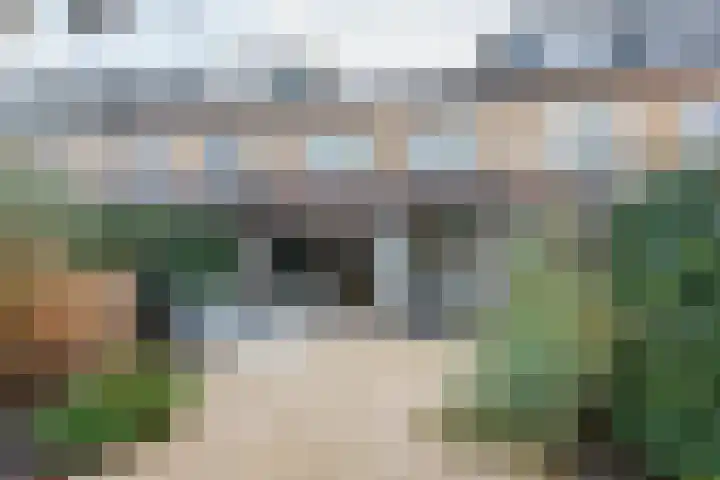 Graanoogst 3 Eemnes thumbnail 41