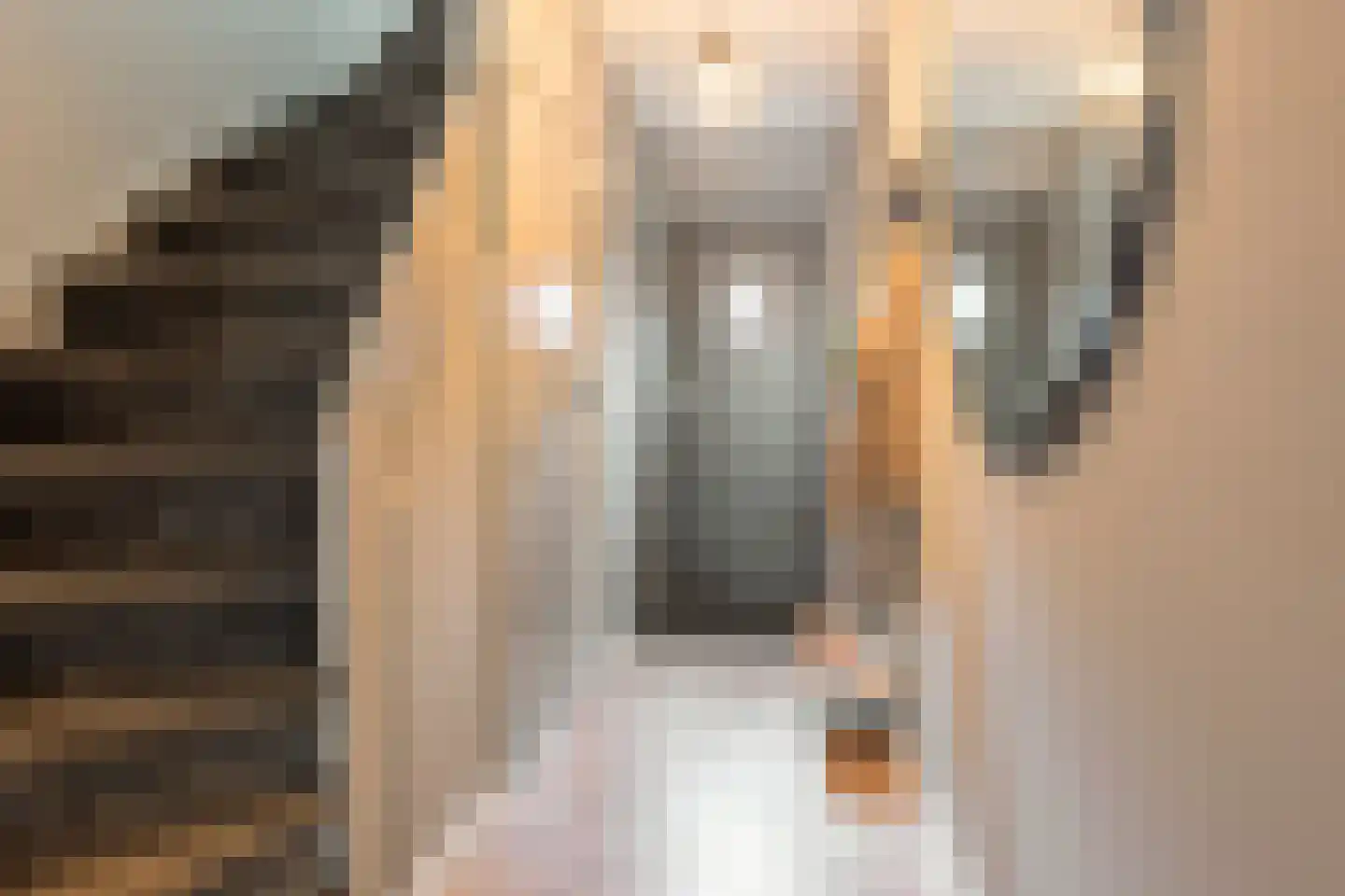 Graanoogst 3 Eemnes thumbnail 5