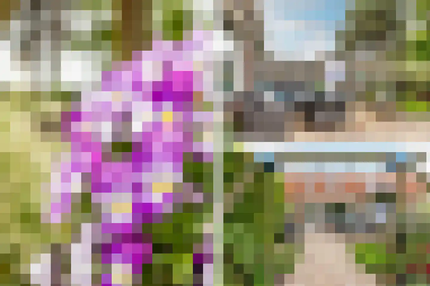 Graanstraat 24 Purmerend thumbnail 34