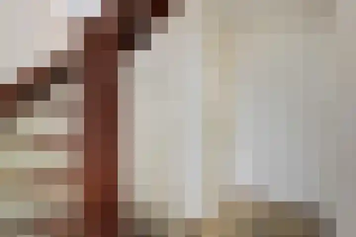 Graanstraat 27 Purmerend thumbnail 28