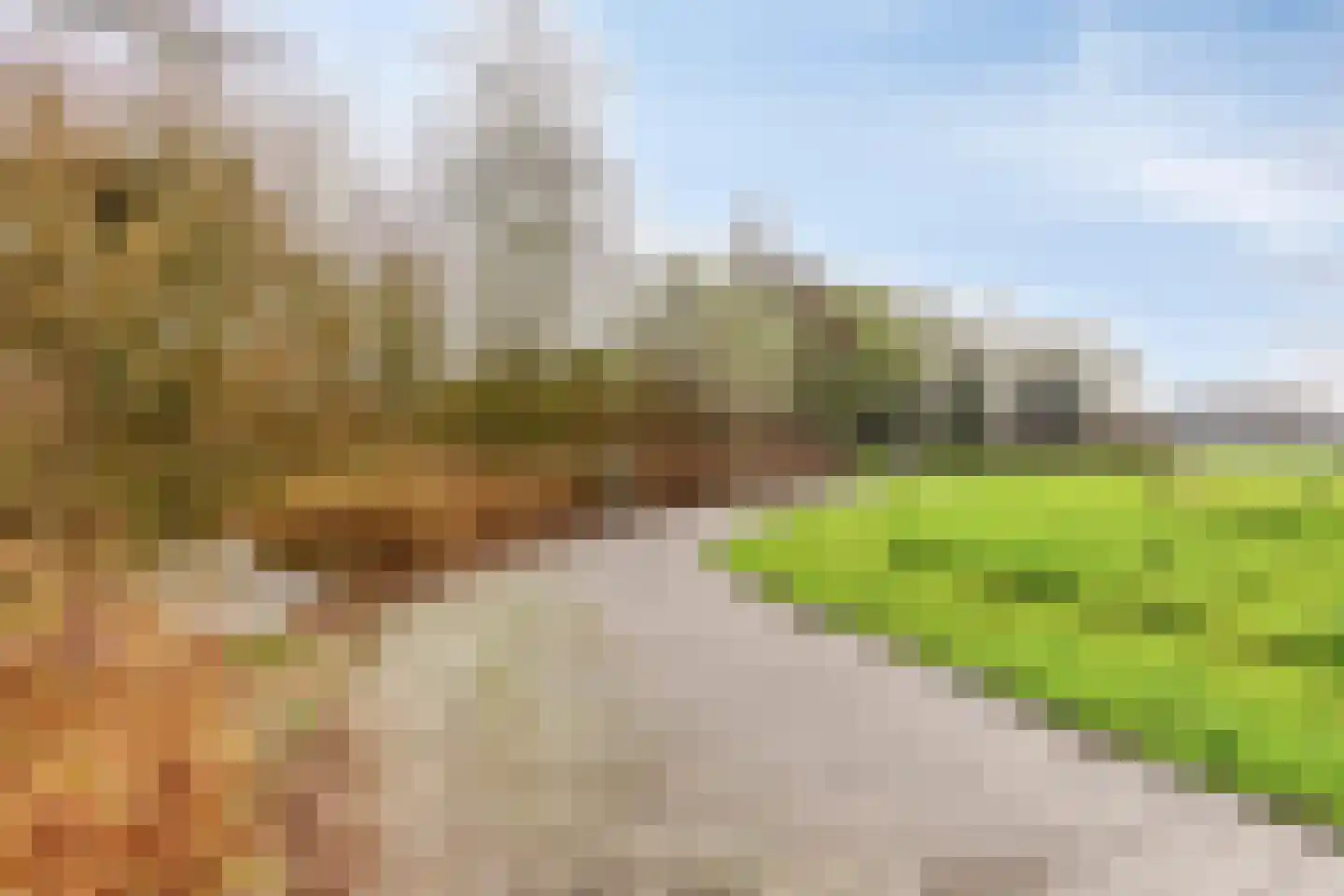 Graanstraat 27 Purmerend thumbnail 43