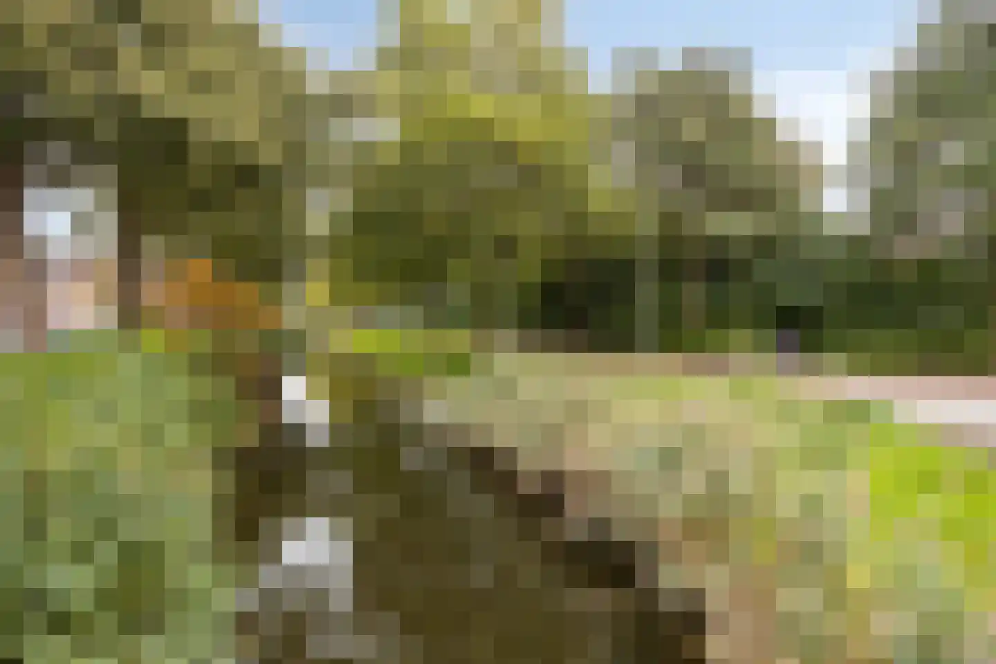 Graanstraat 29 Purmerend thumbnail 31