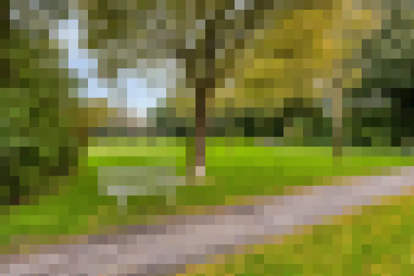 Graanstraat 29 Purmerend thumbnail 32