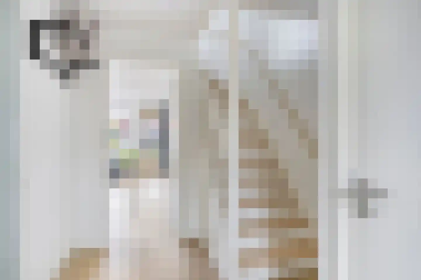 Graanstraat 29 Purmerend thumbnail 7