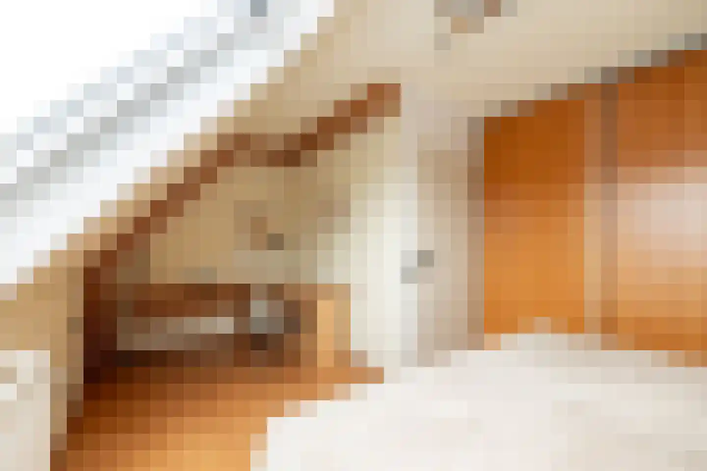 Graanstraat 37 Purmerend thumbnail 27